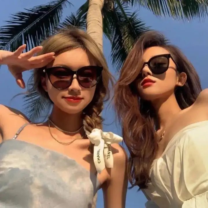 毛里求斯之旅封面